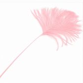 Kód: 33075 Strucc toll vég - LIGHT ROSE / 33075